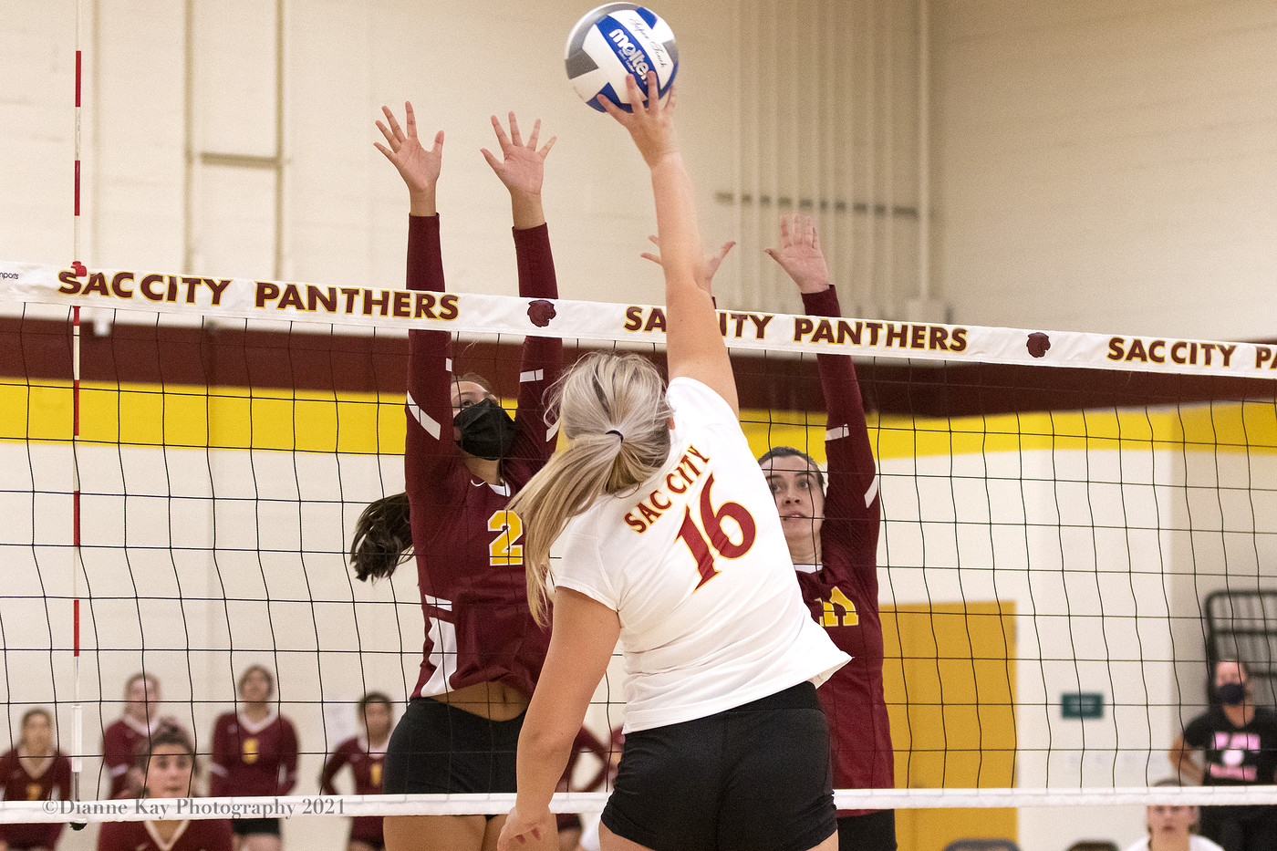 The Panthers lose the season opener to the Roadrunners 3-2 (19-25, 25-21, 14-25, 25-22, 15-9)
