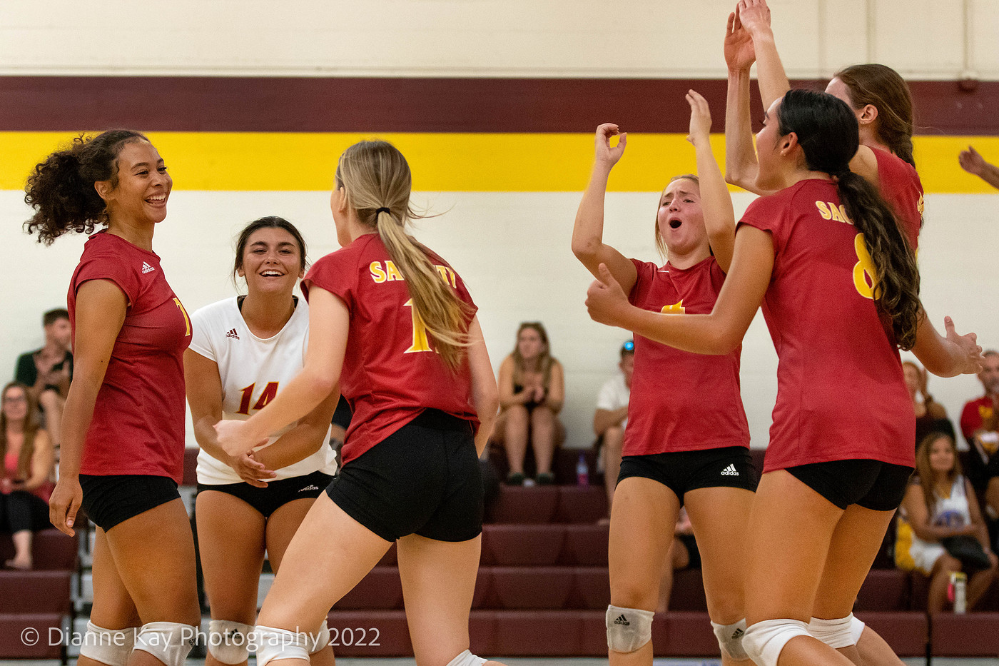 Sac City opens up the Shasta Classic by sweeping the host Knights 3-0 (25-12, 25-18, 25-18)